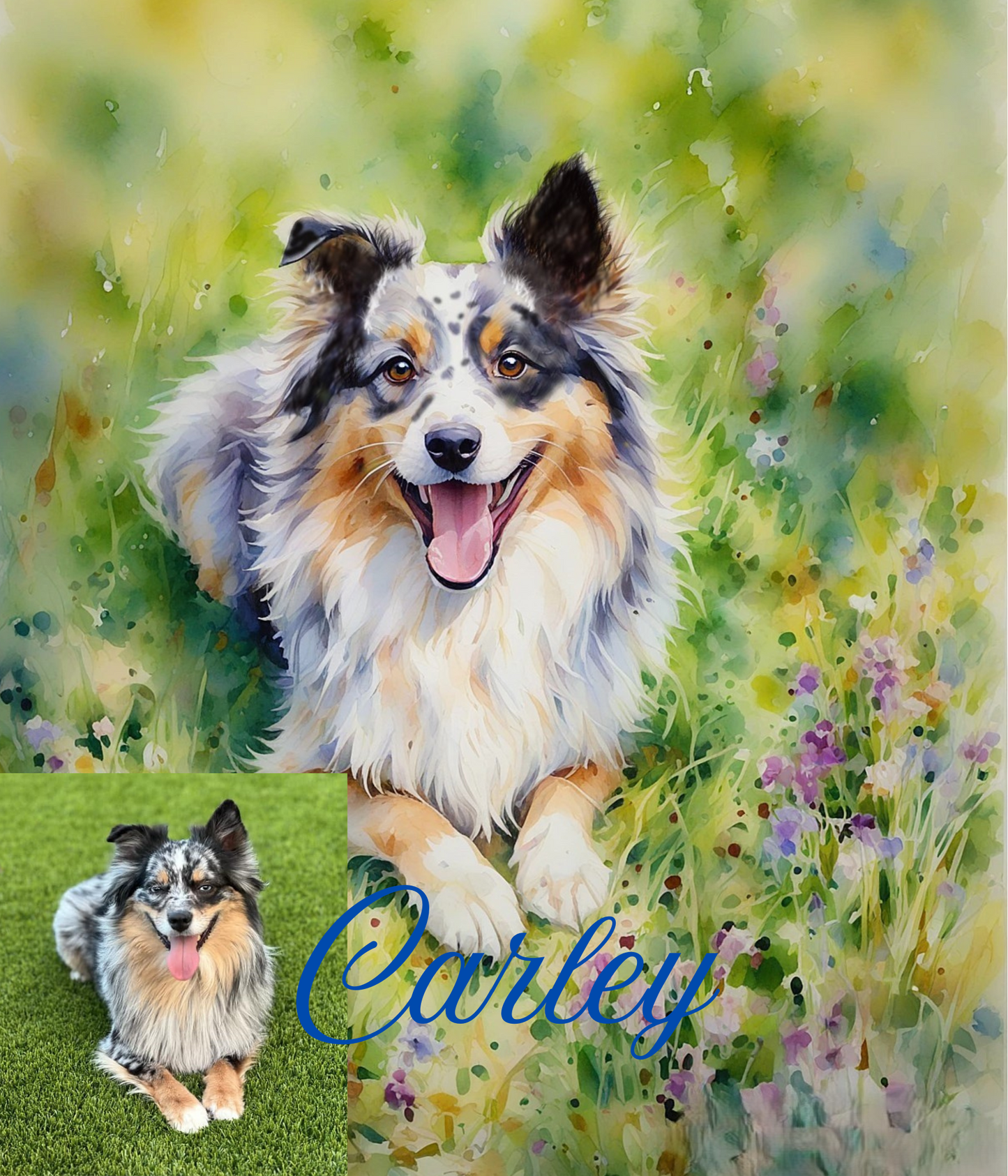 Pet Portraits - Digital Pet Portraits - Memorial pet portraits