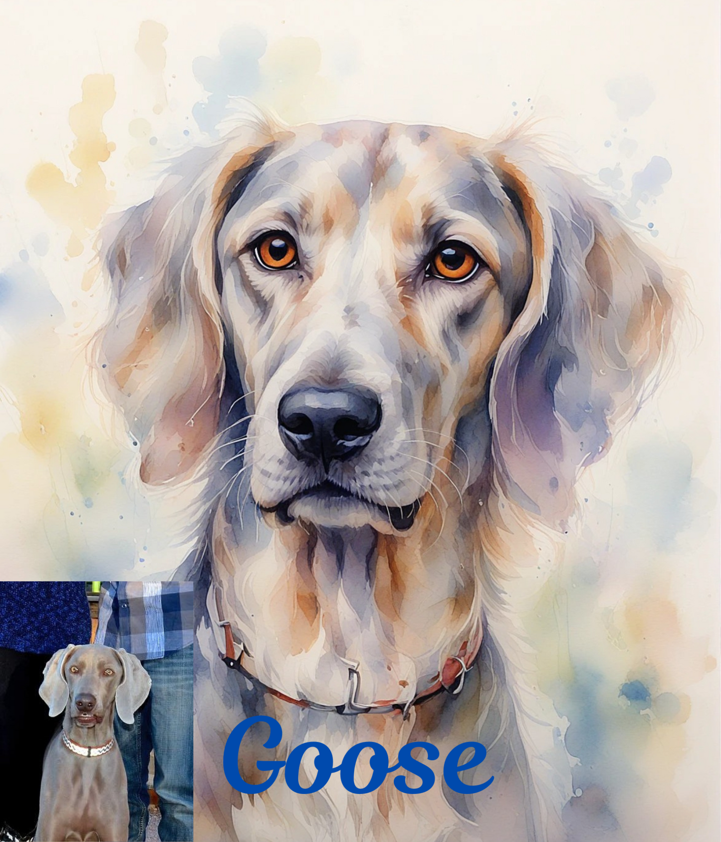 Pet Portraits - Digital Pet Portraits - Memorial pet portraits