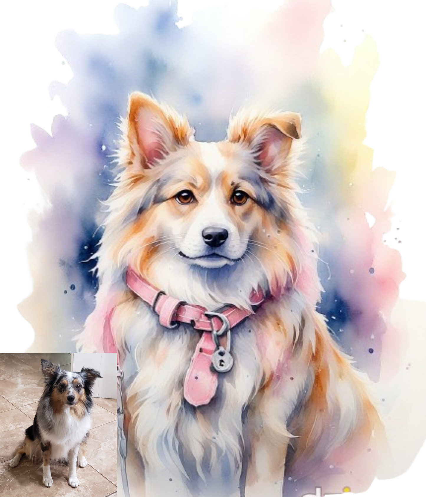 Pet Portraits - Digital Pet Portraits - Memorial pet portraits