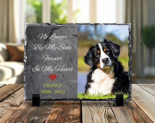 Pet Memorial Stones - Pet Loss - Rememberance